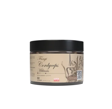 e00b27df1916575bc98555b84bb504d6