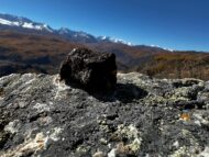 61cf5d024688b4b20d7d27d0e8b31380